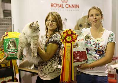 �������� ����� '���-�����-��������' 20-21 �������� 2014 3-95-169A1781 copy.jpg